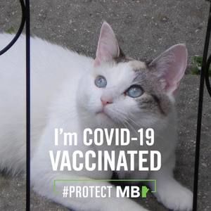 Meet your Posher, Lorri